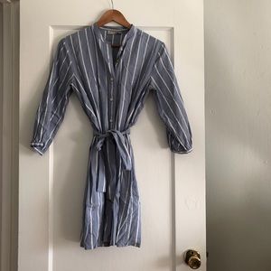 Everlane Cotton Weave Collarless Shirtdress